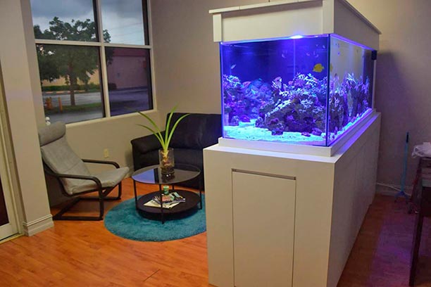 Acuarios al alcance de todos ahora con la más moderna tecnología - sol