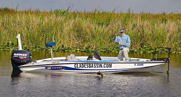 Everglades Bass on the Fly