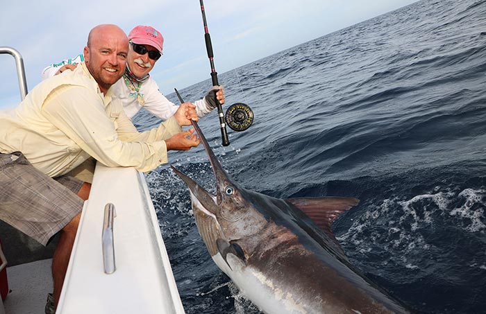 The Quest for the Capture of a Black Marlin on Fly Tackle