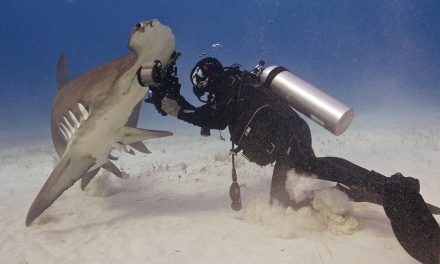 La pasión de un fotógrafo en las profundidades marinas