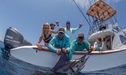 Fly Fishing for Marlin in the Galapagos Islands